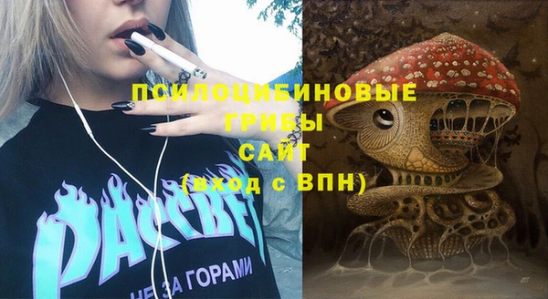 ПСИЛОЦИБИНОВЫЕ ГРИБЫ Беломорск