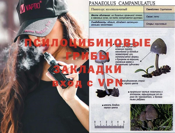 прущая мука Белокуриха